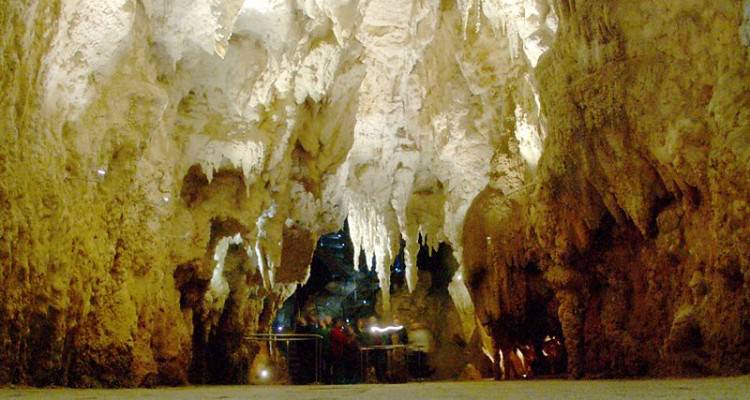 800px-'Cathedral'_in_Waitomo_Cave