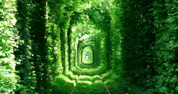 Green_Mile_Tunnel,_Rivne